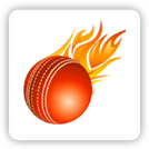 Power Cricket