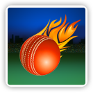 Power Cricket